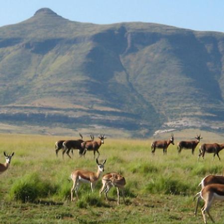 Moolmanshoek Private Game Reserve Hotel Ficksburg Zewnętrze zdjęcie